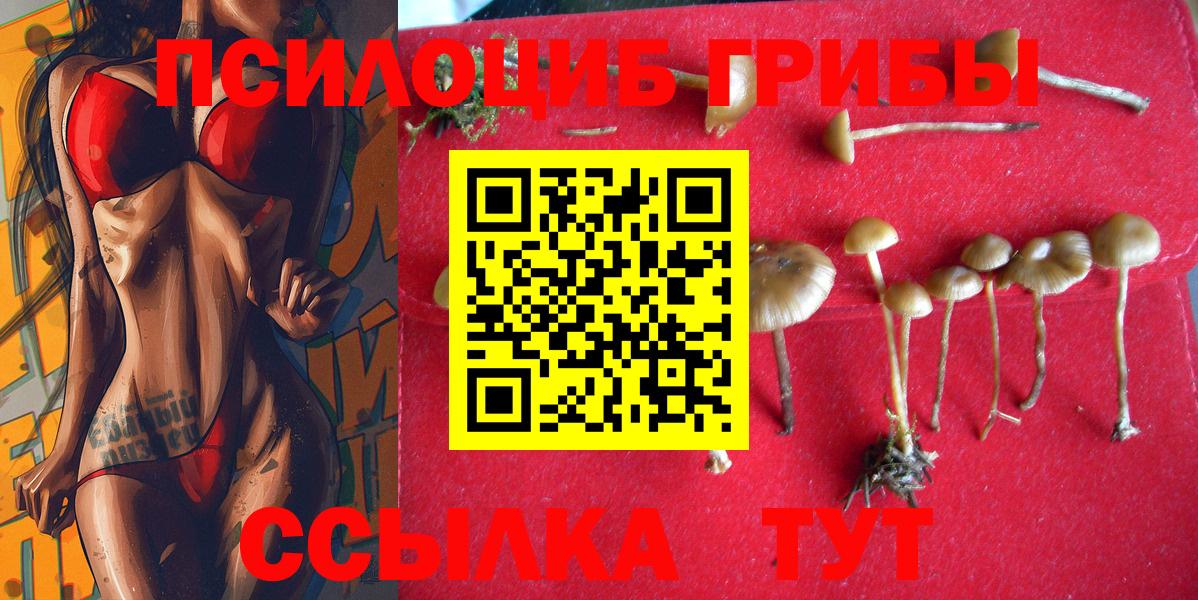 Псилоцибиновые грибы Psilocybe  Вход с VPN  Черногорск  Псилоцибиновые грибы Psilocybine cubensis 